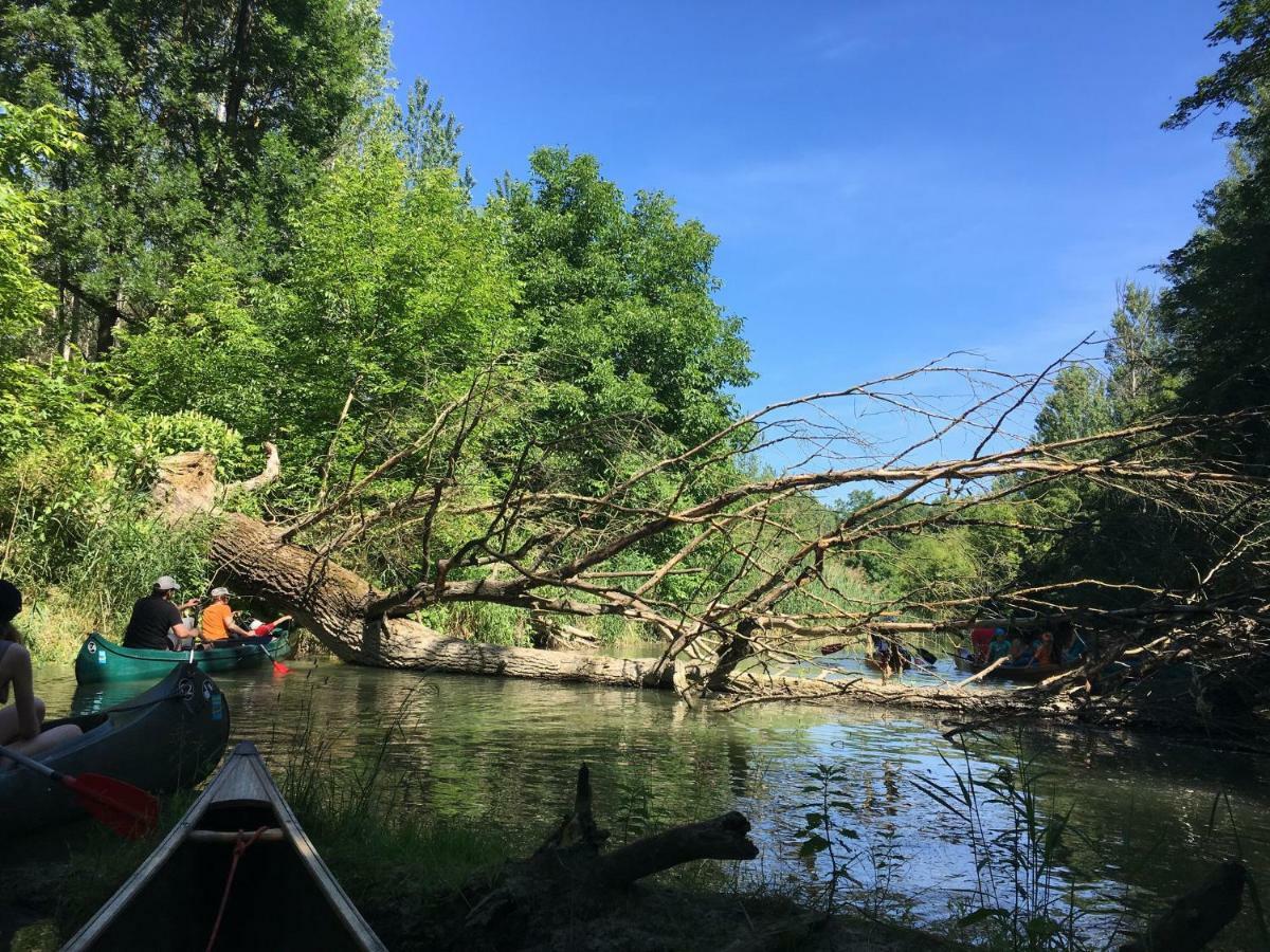 Donaupark Camping Tulln Tulln An Der Donau Kültér fotó